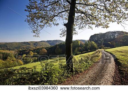 Stock Image - "Autumnal landscape in Elfringhauser Schweiz region, Hattingen, Ruhr Area, North Rhine-Westphalia, Germany, Europe". Fotosearch