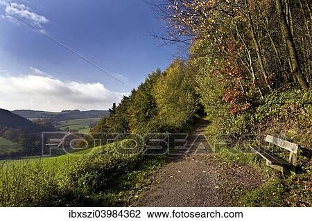 "Autumnal landscape in Elfringhauser Schweiz region, Hattingen, Ruhr Area, North Rhine-Westphalia, Germany, Europe" View Large Photo Image Stock Image - "Autumnal landscape in Elfringhauser Schweiz region, Hattingen, Ruhr Area, North Rhine-Westphalia, Germany, Europe". Fotosearch