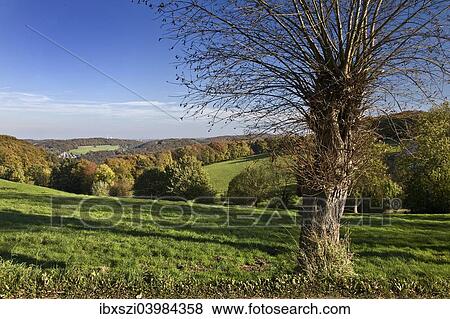 "Autumnal landscape in Elfringhauser Schweiz region, Hattingen, Ruhr Area, North Rhine-Westphalia, Germany, Europe" View Large Photo Image Stock Photo - "Autumnal landscape in Elfringhauser Schweiz region, Hattingen, Ruhr Area, North Rhine-Westphalia, Germany, Europe". Fotosearch