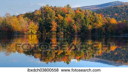 "Autumnal trees with reflection in lake, Sally's Pond, West Bolton, Eastern Townships, Quebec, Canada, North America" View Large Photo Image Stock Photo - "Autumnal trees with reflection in lake, Sally's Pond, West Bolton, Eastern Townships, Quebec, Canada, North America". Fotosearch