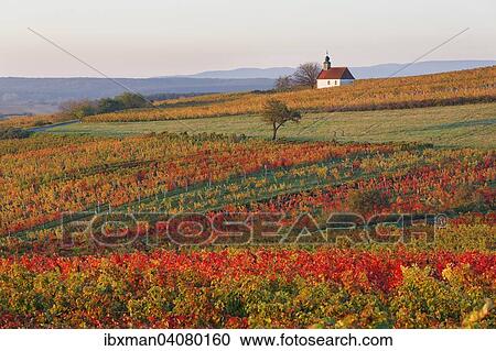 Stock Image - "Autumnal vineyards, wine garden chapel in Neckenmarkt, Oberpullendorf District, Burgenland, Austria, Europe". Fotosearch