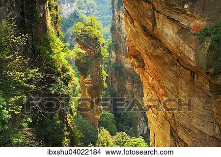 "Avatar Mountains with vertical quartz-sandstone pillars, Zhangjiajie National Forest Park, Hunan Province, China, Asia" View Large Photo Image Picture - "Avatar Mountains with vertical quartz-sandstone pillars, Zhangjiajie National Forest Park, Hunan Province, China, Asia". Fotosearch