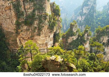 Stock Image - "Avatar Mountains with vertical quartz-sandstone pillars, Zhangjiajie National Forest Park, Hunan Province, China, Asia". Fotosearch