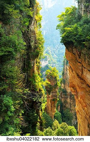"Avatar Mountains with vertical quartz-sandstone pillars, Zhangjiajie National Forest Park, Hunan Province, China, Asia" View Large Photo Image Stock Image - "Avatar Mountains with vertical quartz-sandstone pillars, Zhangjiajie National Forest Park, Hunan Province, China, Asia". Fotosearch