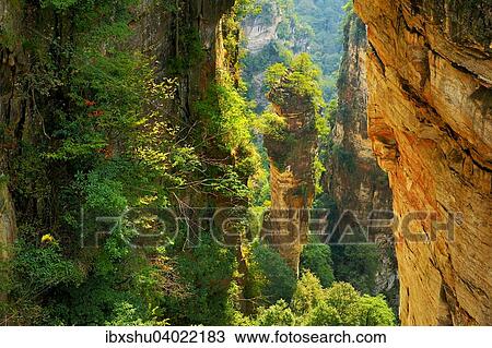 Stock Image - "Avatar Mountains with vertical quartz-sandstone pillars, Zhangjiajie National Forest Park, Hunan Province, China, Asia". Fotosearch