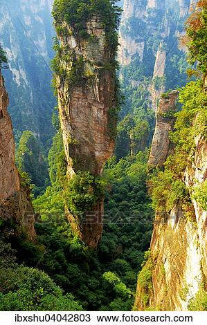"Avatar"""" mountains with vertical quartz sandstone rocks, Zhangjiajie National Park, Hunan Province, China, Asia" View Large Photo Image Stock Image - "Avatar"""" mountains with vertical quartz sandstone rocks, Zhangjiajie National Park, Hunan Province, China, Asia". Fotosearch