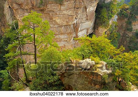 "Avatar Mountains with vertical quartz-sandstone pillars, Zhangjiajie National Forest Park, Hunan Province, China, Asia" View Large Photo Image Stock Photo - "Avatar Mountains with vertical quartz-sandstone pillars, Zhangjiajie National Forest Park, Hunan Province, China, Asia". Fotosearch