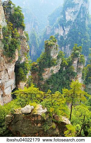 "Avatar Mountains with vertical quartz-sandstone pillars, Zhangjiajie National Forest Park, Hunan Province, China, Asia" View Large Photo Image Stock Photo - "Avatar Mountains with vertical quartz-sandstone pillars, Zhangjiajie National Forest Park, Hunan Province, China, Asia". Fotosearch