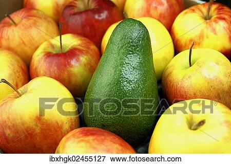 "Avocado and organic apples, Jonagold" View Large Photo Image Stock Photo - "Avocado and organic apples, Jonagold". Fotosearch