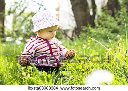 "Baby, 12-14 months, on a meadow" View Large Photo Image Picture - "Baby, 12-14 months, on a meadow". Fotosearch