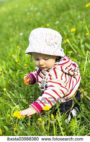 "Baby, 12-14 months, on a meadow" View Large Photo Image Stock Image - "Baby, 12-14 months, on a meadow". Fotosearch
