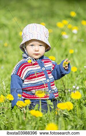 "Baby, 12-14 months, on a meadow" View Large Photo Image Stock Photograph - "Baby, 12-14 months, on a meadow". Fotosearch