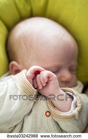 Stock Photo - "Baby, 2 months, asleep, Germany, Europe". Fotosearch