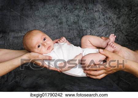Stock Image - "Baby, 2 months, being held by hands of mother and father". Fotosearch