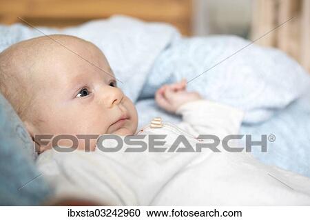 "Baby, 2 months, Germany, Europe" View Large Photo Image Stock Image - "Baby, 2 months, Germany, Europe". Fotosearch