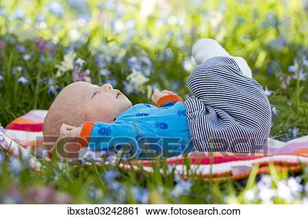 "Baby, 2 months, lying on a meadow, Germany, Europe" View Large Photo Image Stock Image - "Baby, 2 months, lying on a meadow, Germany, Europe". Fotosearch