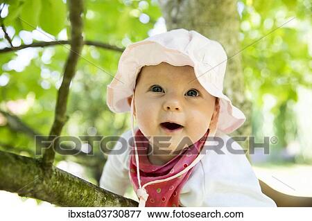 Stock Photo - "Baby, 4-5 months old, on a branch, Germany, Europe". Fotosearch