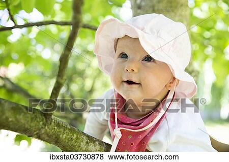 Stock Photo - "Baby, 4-5 months old, on a branch, Germany, Europe". Fotosearch