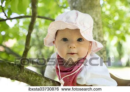 "Baby, 4-5 months old, on a branch, Germany, Europe" View Large Photo Image Stock Photograph - "Baby, 4-5 months old, on a branch, Germany, Europe". Fotosearch