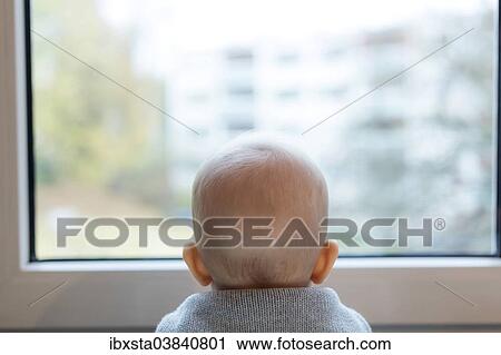 "Baby, 8 months, sitting at a window and looking outside" View Large Photo Image Stock Image - "Baby, 8 months, sitting at a window and looking outside". Fotosearch