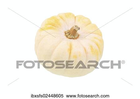 Stock Photography - Baby Boo gourd. Fotosearch