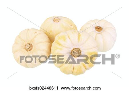 "Baby Boo"""" gourds" View Large Photo Image Stock Image - "Baby Boo"""" gourds". Fotosearch