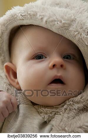 Stock Photograph - "Baby girl, 2 months, wearing a faux fur suit". Fotosearch