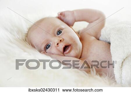 "Baby girl, 3 months, lying on a sheepskin" View Large Photo Image Stock Image - "Baby girl, 3 months, lying on a sheepskin". Fotosearch