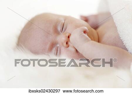 "Baby girl, 3 months, lying on a sheepskin" View Large Photo Image Stock Photo - "Baby girl, 3 months, lying on a sheepskin". Fotosearch