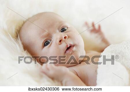 Stock Photograph - "Baby girl, 3 months, lying on a sheepskin". Fotosearch