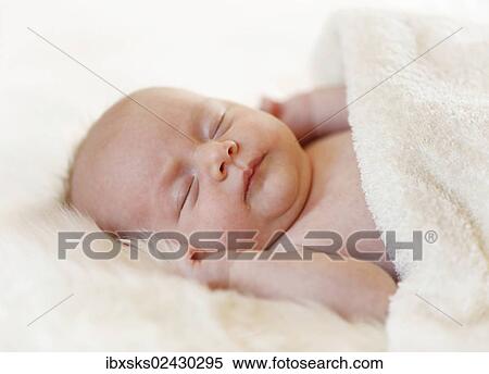 "Baby girl, 3 months, lying on a sheepskin" View Large Photo Image Stock Photography - "Baby girl, 3 months, lying on a sheepskin". Fotosearch