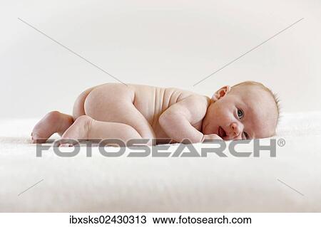 "Baby girl, 3 months old, lying on a sheepskin" View Large Photo Image Stock Image - "Baby girl, 3 months old, lying on a sheepskin". Fotosearch