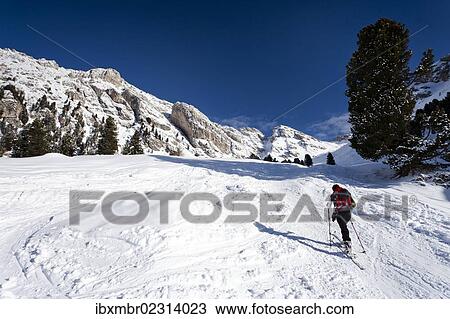 "Backcountry skier near Woerndle-Loch-Alm alp, during the ascent to the peak of Zendleser Kofel mountain, in the Villnoesstal valley above Zanser Alm alp, province of Bolzano-Bozen, Italy, Europe" View Large Photo Image Stock Image - "Backcountry skier near Woerndle-Loch-Alm alp, during the ascent to the peak of Zendleser Kofel mountain, in the Villnoesstal valley above Zanser Alm alp, province of Bolzano-Bozen, Italy, Europe". Fotosearch