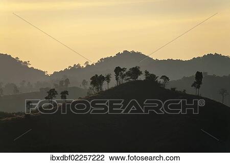 "Backlit landscape, silhouette, evening light, Northern Thailand, Thailand, Asia" View Large Photo Image Stock Image - "Backlit landscape, silhouette, evening light, Northern Thailand, Thailand, Asia". Fotosearch