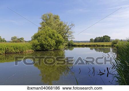 "Backwater of the Lafnitz, Heiligenkreuz im Lafnitztal, Southern Burgenland, Burgenland, Austria, Europe" View Large Photo Image Stock Photograph - "Backwater of the Lafnitz, Heiligenkreuz im Lafnitztal, Southern Burgenland, Burgenland, Austria, Europe". Fotosearch
