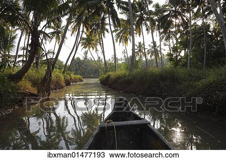 "Backwater tour on a tributary of the Poovar River, Puvar, Kerala, South India, India, Asia" View Large Photo Image Stock Image - "Backwater tour on a tributary of the Poovar River, Puvar, Kerala, South India, India, Asia". Fotosearch