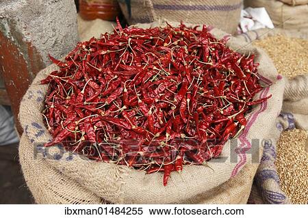 "Bag filled with chili peppers, Devaraja Market, Mysore, Karnataka, South India, India, South Asia, Asia" View Large Photo Image Stock Photography - "Bag filled with chili peppers, Devaraja Market, Mysore, Karnataka, South India, India, South Asia, Asia". Fotosearch