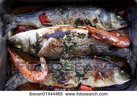 Baked sea-bass and shrimps View Large Photo Image Stock Photography - Baked sea-bass and shrimps. Fotosearch