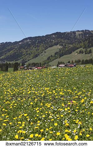 Stock Photography - "Balderschwang village, Upper Allgaeu, Allgaeu, Swabia, Bavaria, Germany, Europe". Fotosearch