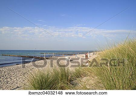 "Baltic Sea beach with beach chairs, Ahrenshoop, Mecklenburg-Western Pomerania, Germany, Europe" View Large Photo Image Stock Photo - "Baltic Sea beach with beach chairs, Ahrenshoop, Mecklenburg-Western Pomerania, Germany, Europe". Fotosearch