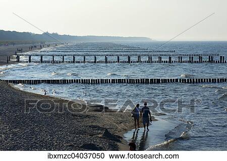"Baltic Sea beach with groynes in hazy weather, Ahrenshoop, Darss, Mecklenburg-Western Pomerania, Germany, Europe" View Large Photo Image Stock Image - "Baltic Sea beach with groynes in hazy weather, Ahrenshoop, Darss, Mecklenburg-Western Pomerania, Germany, Europe". Fotosearch