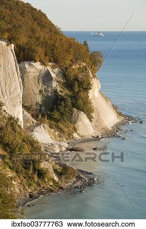 Stock Image - "Baltic Sea, chalk cliffs and beech forest, Common beech trees (Fagus sylvatica), in autumn, Jasmund National Park, Mecklenburg-Vorpommern, Germany, Europe". Fotosearch