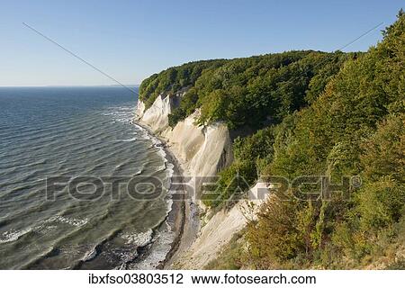 "Baltic Sea, chalk cliffs and beech forest (Fagus sylvatica), Jasmund National Park, Rugen, Mecklenburg-Vorpommern, Germany, Europe" View Large Photo Image Stock Image - "Baltic Sea, chalk cliffs and beech forest (Fagus sylvatica), Jasmund National Park, Rugen, Mecklenburg-Vorpommern, Germany, Europe". Fotosearch
