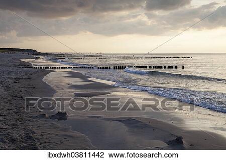 "Baltic Sea coast in the evening light, Graal-Muritz, Baltic Sea spa resort, Mecklenburg-Western Pomerania, Germany, Europe" View Large Photo Image Stock Image - "Baltic Sea coast in the evening light, Graal-Muritz, Baltic Sea spa resort, Mecklenburg-Western Pomerania, Germany, Europe". Fotosearch