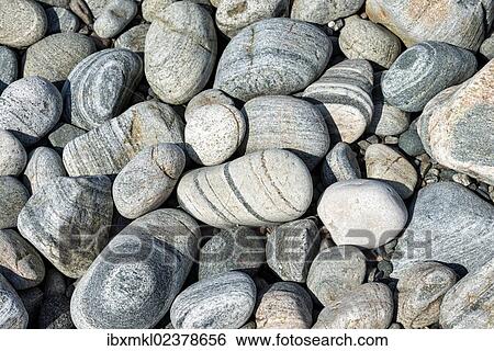 "Banded and round gneiss, on the gravel beach, Geopark Scourie Bay, Sutherland, Scotland, United Kingdom, Europe" View Large Photo Image Stock Photograph - "Banded and round gneiss, on the gravel beach, Geopark Scourie Bay, Sutherland, Scotland, United Kingdom, Europe". Fotosearch