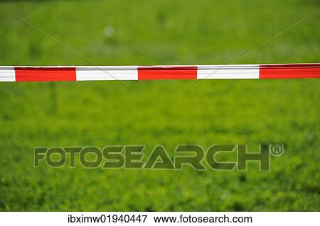 "Bandrole, warning tape, red and white, front lawn" View Large Photo Image Stock Photo - "Bandrole, warning tape, red and white, front lawn". Fotosearch