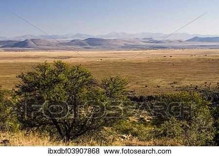 Stock Photo - "Bank Mountains, Mountain Zebra National Park, Eastern Cape, South Africa, Africa". Fotosearch