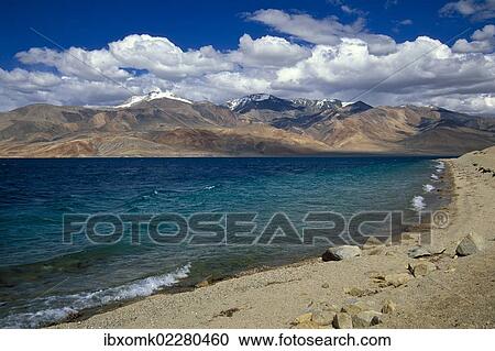 "Bank of the high-altitude lake Tso Moriri, Tsomoriri or Lake Moriri, Changtang or Changthang, Ladakh, Indian Himalayas, Jammu and Kashmir, North India, India, Asia" View Large Photo Image Stock Image - "Bank of the high-altitude lake Tso Moriri, Tsomoriri or Lake Moriri, Changtang or Changthang, Ladakh, Indian Himalayas, Jammu and Kashmir, North India, India, Asia". Fotosearch