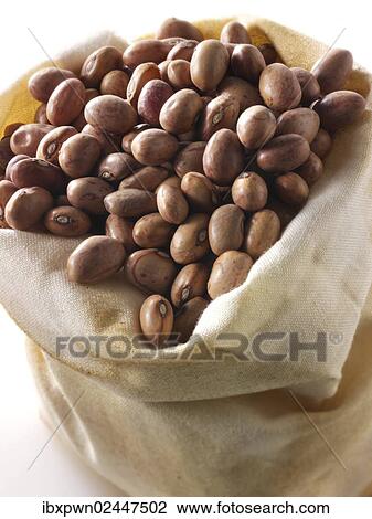 Barlotti beans View Large Photo Image Stock Image - Barlotti beans. Fotosearch