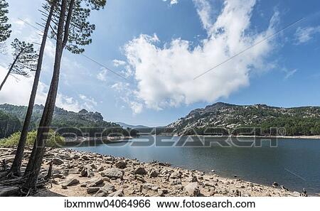 "Barrage de l'Ospedale, Dam of Ospedale, Massif de L'Ospedale, Ospedale Massif, plateau, Porto-Vecchio, Departement Corse-du-Sud, Corsica, France, Europe" View Large Photo Image Stock Photograph - "Barrage de l'Ospedale, Dam of Ospedale, Massif de L'Ospedale, Ospedale Massif, plateau, Porto-Vecchio, Departement Corse-du-Sud, Corsica, France, Europe". Fotosearch